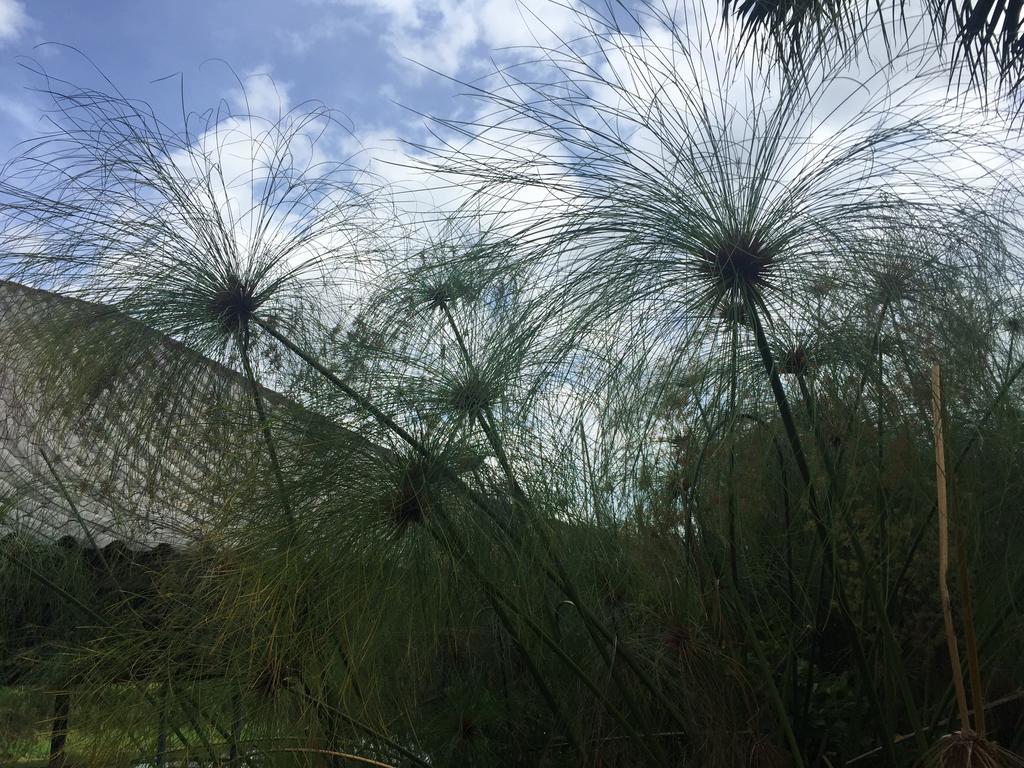Phu Pha Nam Resort Dan Sai Luaran gambar